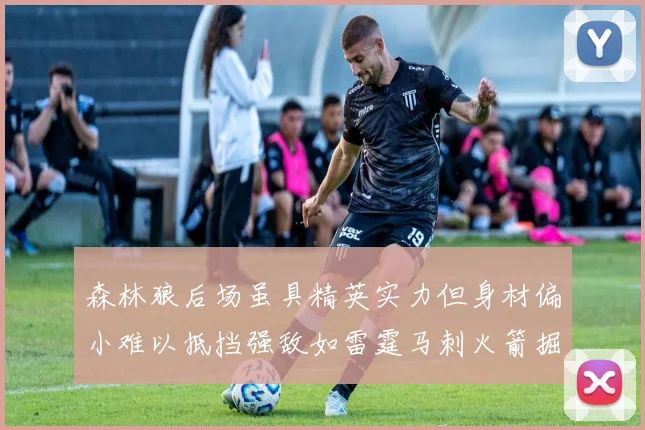 森林狼后场虽具精英实力但身材偏小难以抵挡强敌如雷霆马刺火箭掘金